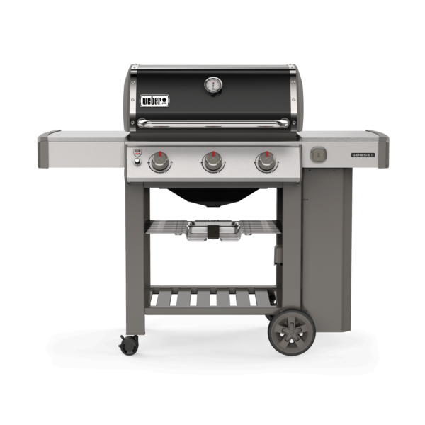 weber-barbeque-grill-61011108